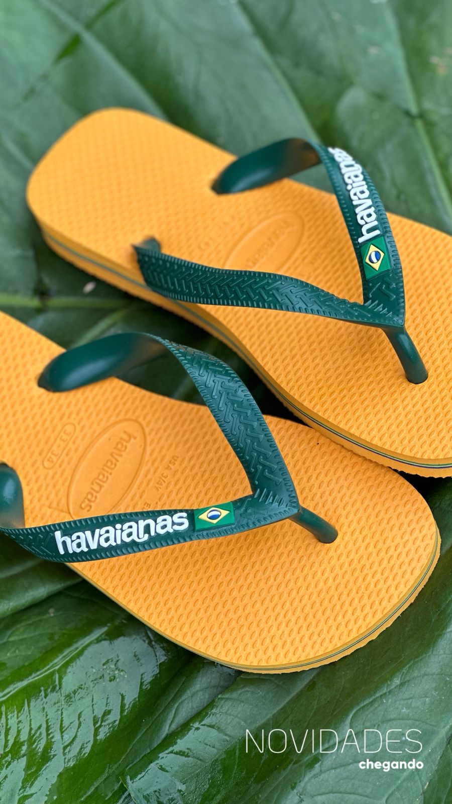 Brasil Logo - Imagem 5